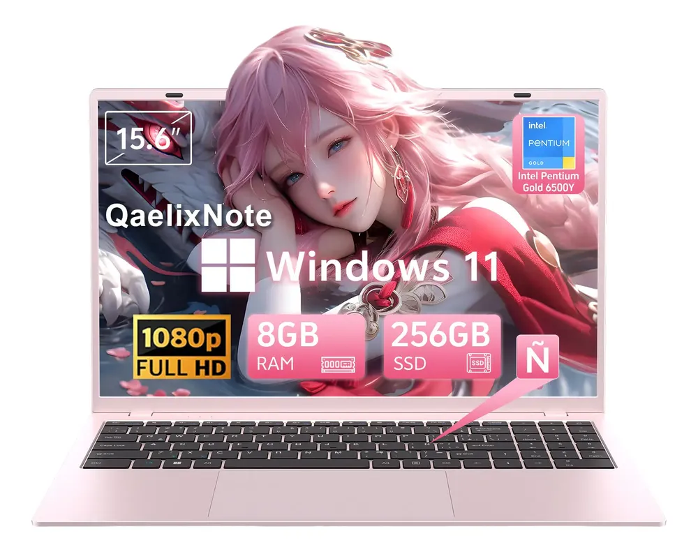 Qaelixnote Laptop Intel Pentium Gold 6500y 8gb+256gb Win11
